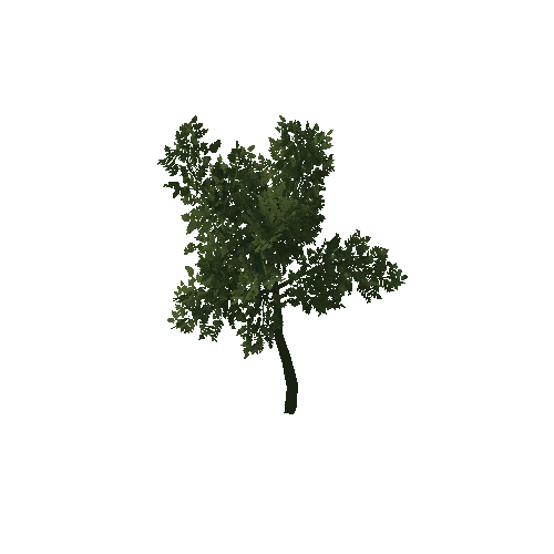 HVR Tree V01 T04 C01